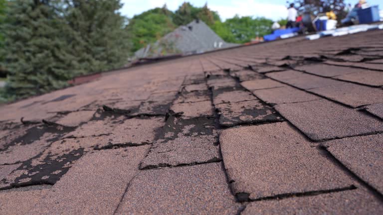 Best Roof Leak Repair  in Blacksburg, VA