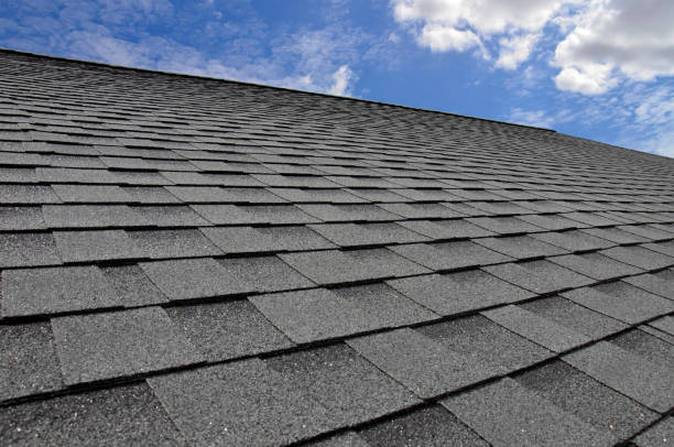 Best Solar Panel Roofing Installation  in Blacksburg, VA